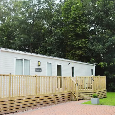 Relax, Enjoy Fast Starlink Wi-fi Carlisle (Cumbria)