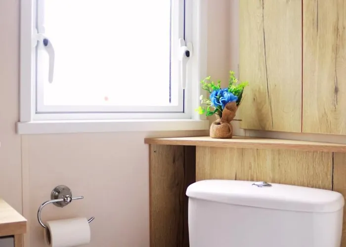 Relax, Enjoy Fast Starlink Wi-fi Carlisle (Cumbria)